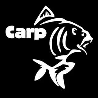Carp Hell School thumbnail