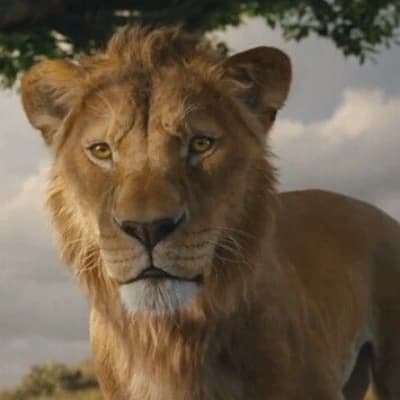 Mufasa (Young) thumbnail