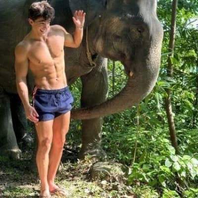 Matthew Elective thumbnail