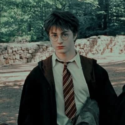 Harry Potter/BL/MLM thumbnail