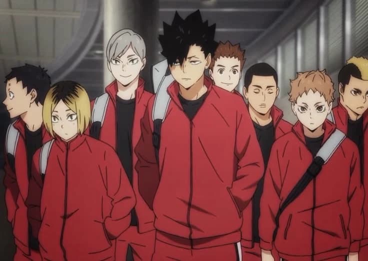 Nekoma 🐱 thumbnail