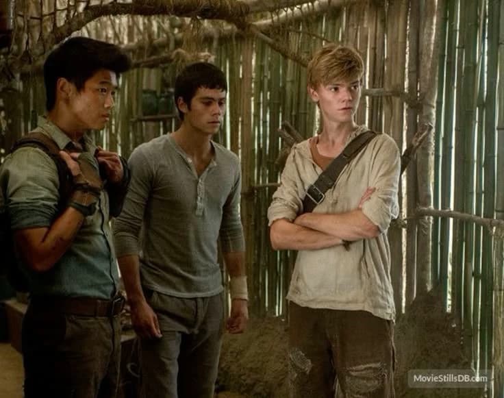 Labyrinth Runner Thomas, Minho, Newt, Gavi Teresa, Mia, and Terin thumbnail