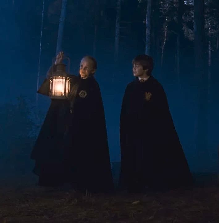 Forbidden forest thumbnail
