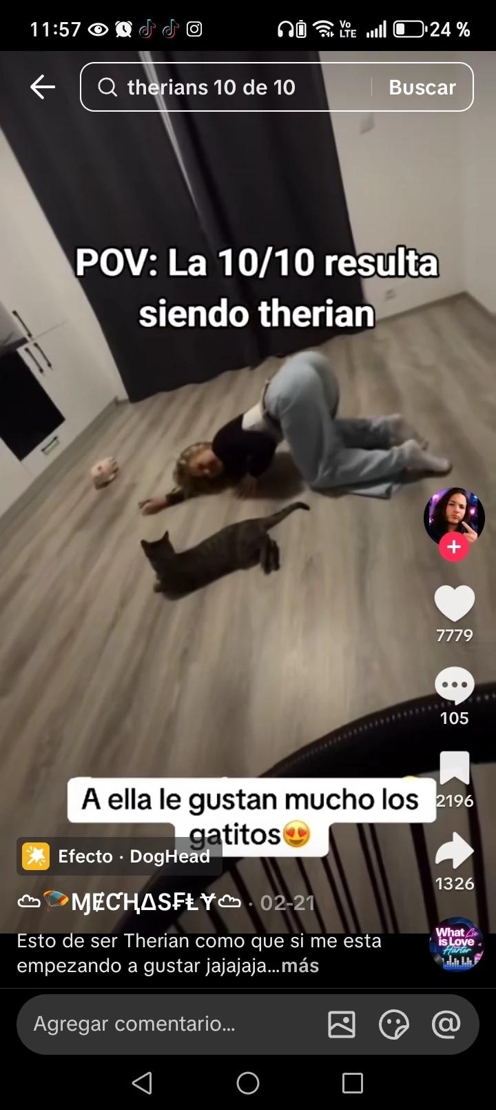 Sofia thumbnail