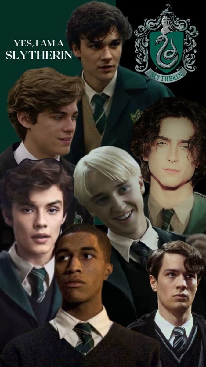 The Slytherin Boys thumbnail