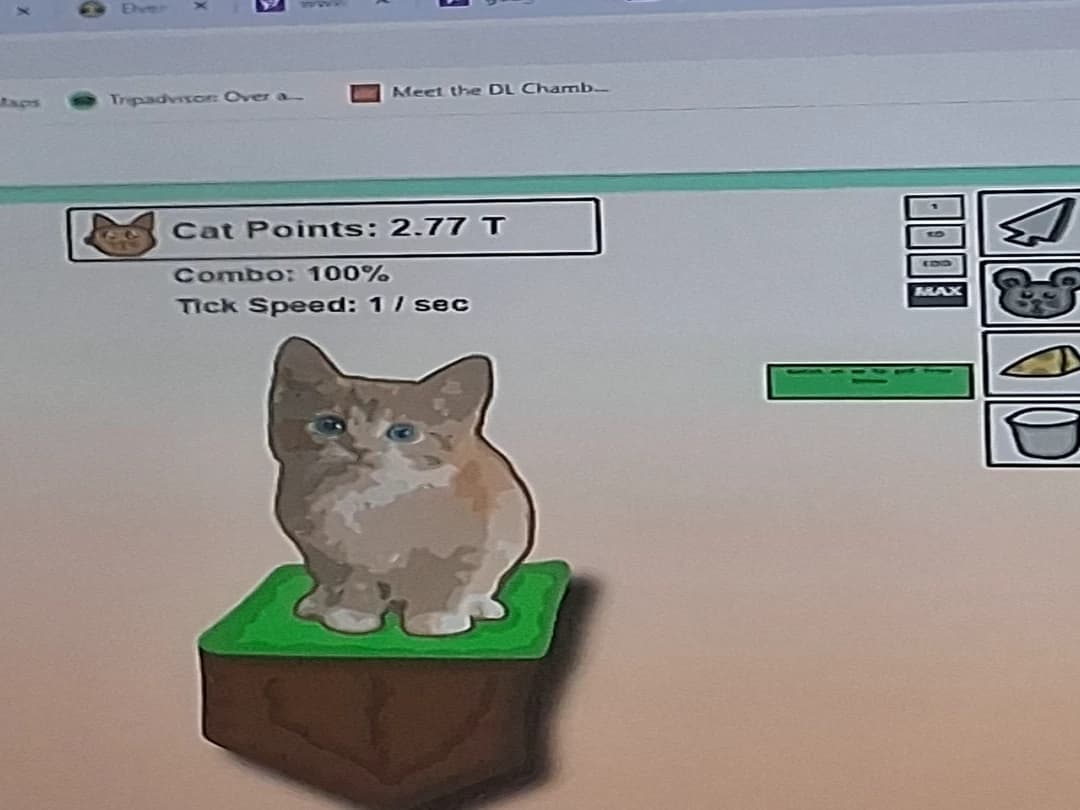 Cat vires thumbnail