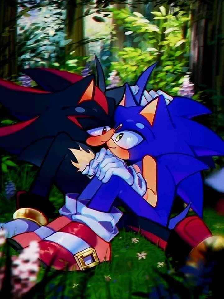 Sonic and Shadow thumbnail