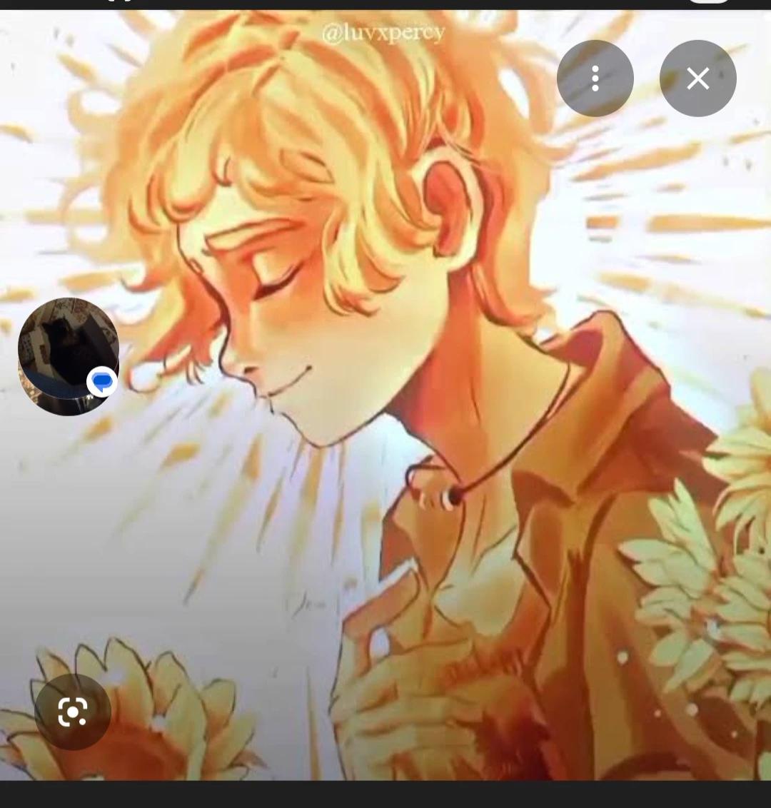 Will Solace thumbnail