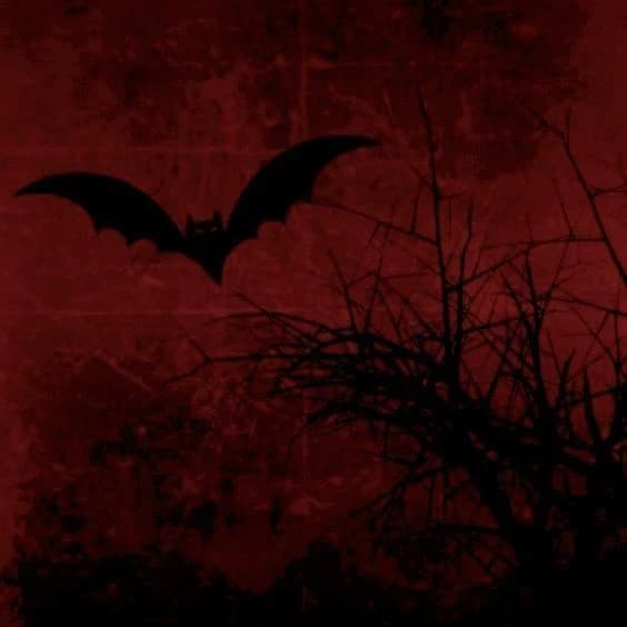 Vampire thumbnail