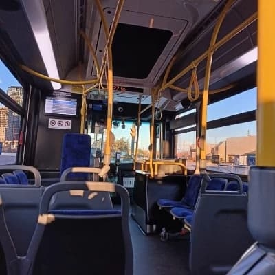 The Bus thumbnail