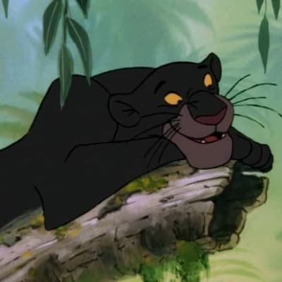 Bagheera thumbnail