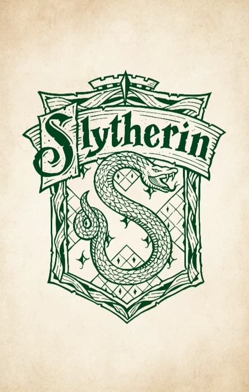 Slytherins and Gryffindors thumbnail