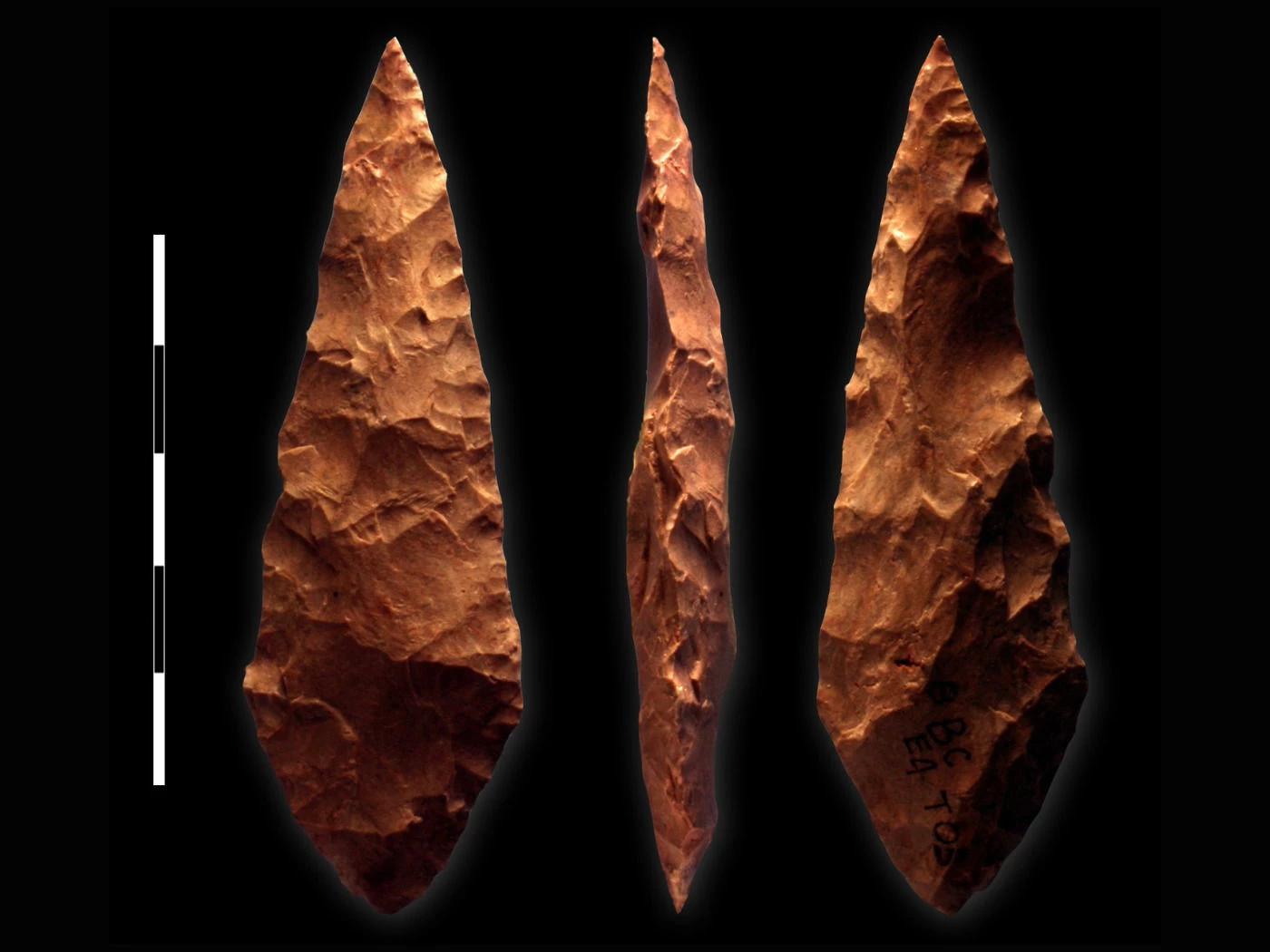 Stone Age thumbnail