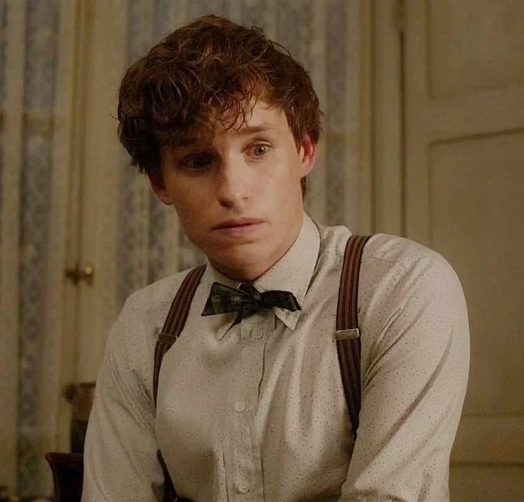 🪲|| Newt scamander thumbnail