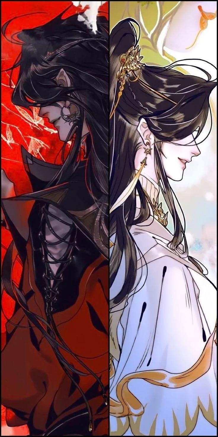 Hua Cheng / Xie Lian thumbnail