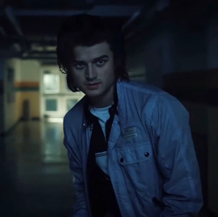 Steve Harrington thumbnail