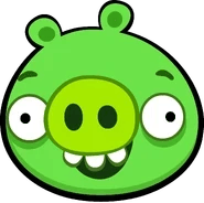 Minion Pig thumbnail
