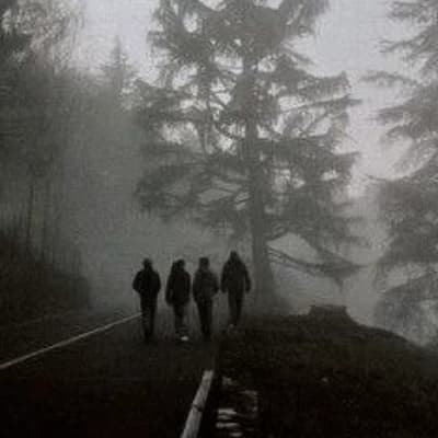 Survivors thumbnail