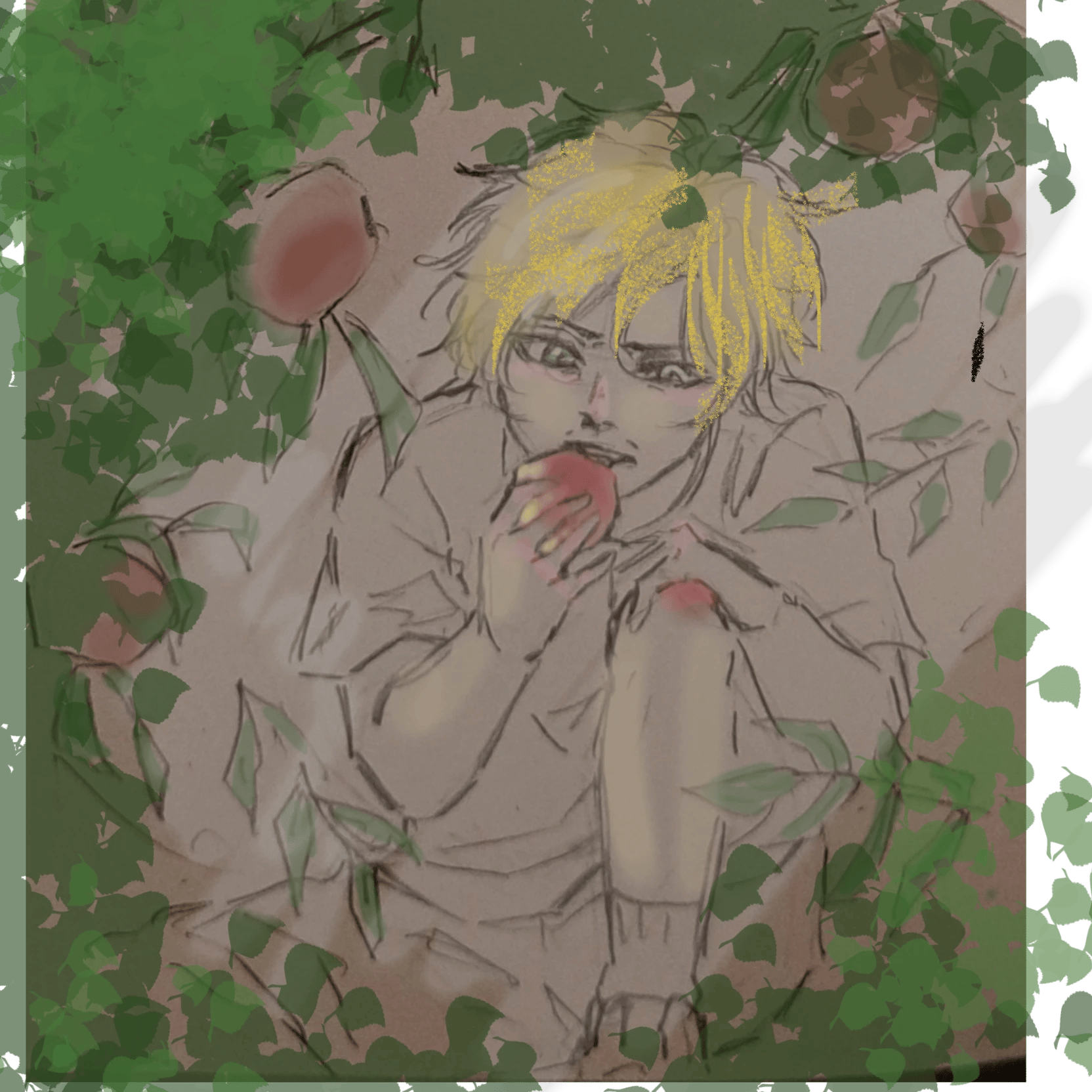 Albatross thumbnail