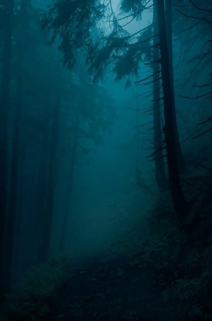 Echo Falls (style stranger things) thumbnail