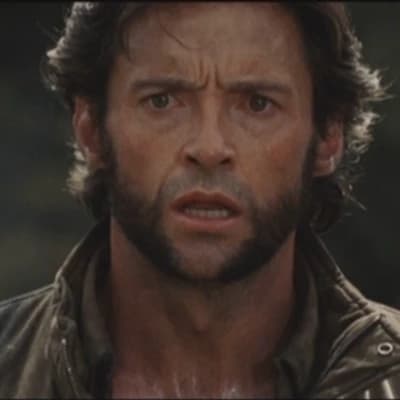 Logan / Wolverine thumbnail