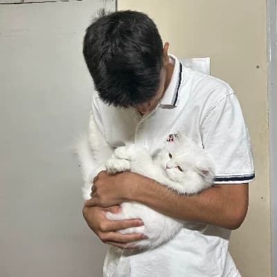 Your plushie?  thumbnail