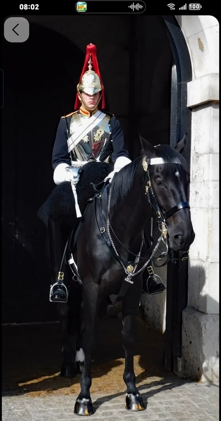 Kingsguards. thumbnail