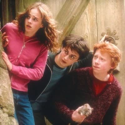 Golden trio. thumbnail