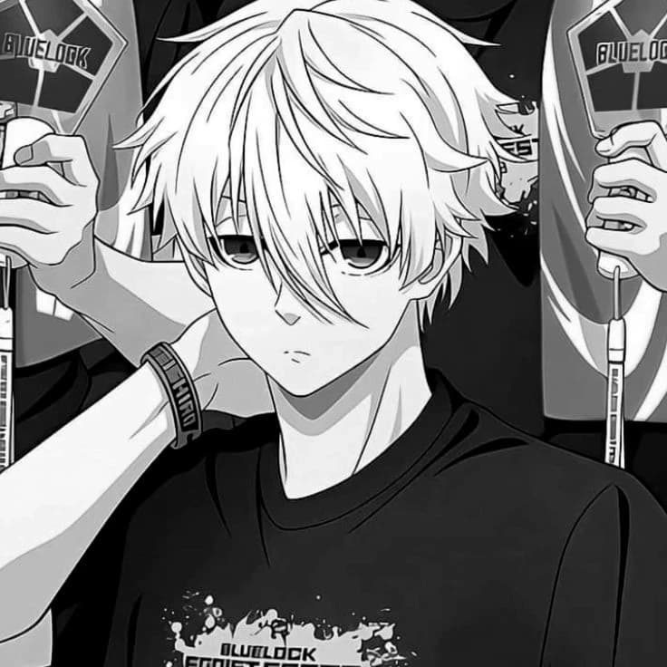 Nagi seishiro thumbnail