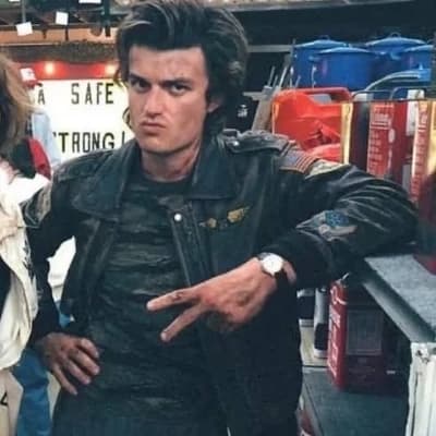 Steve Harrington thumbnail