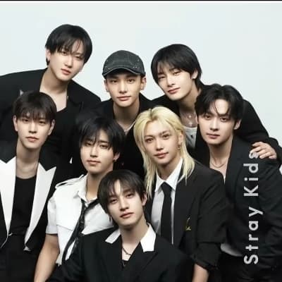 Stray kids  thumbnail