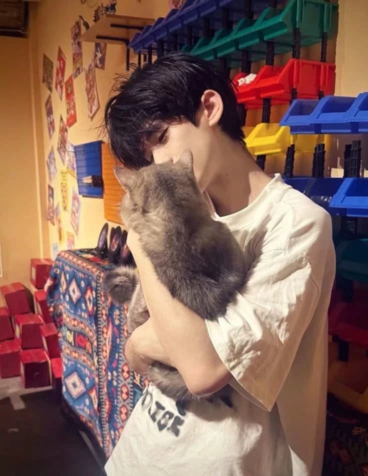 Daniel thumbnail