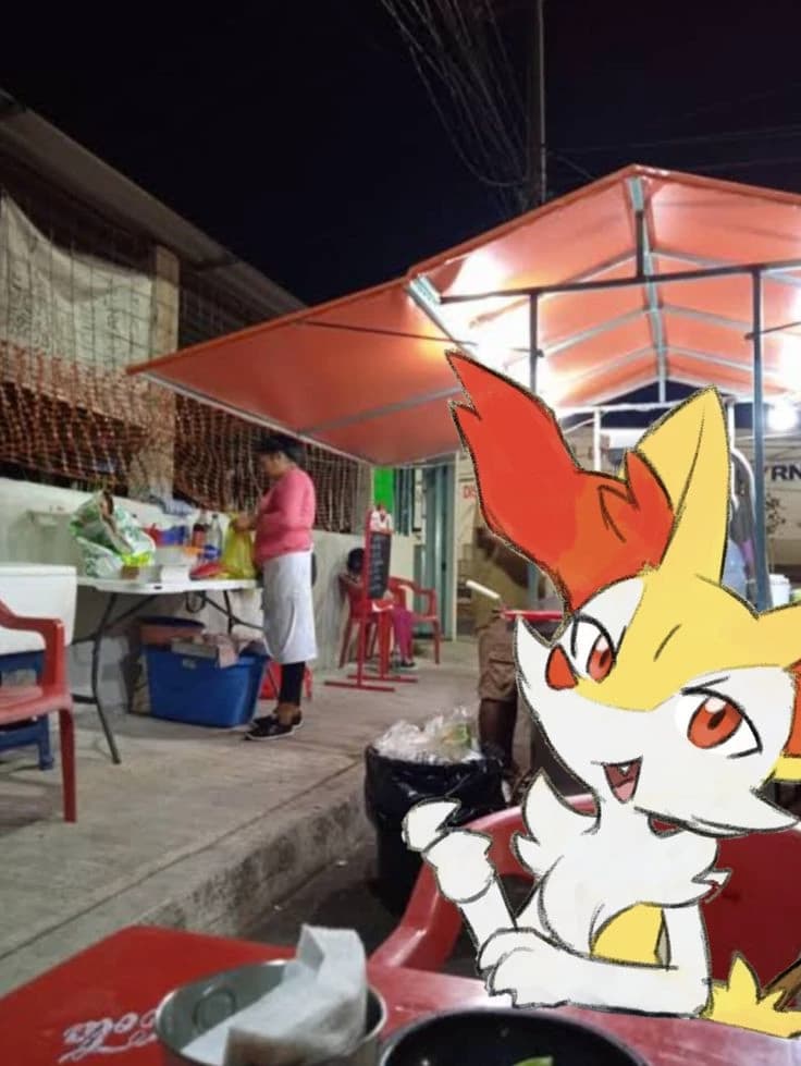 Braixen thumbnail