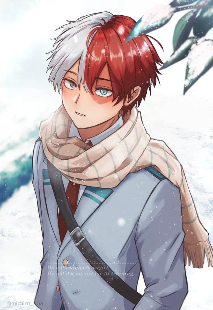 Todoroki Shoto thumbnail
