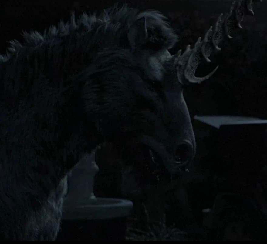 Unicorns (Death of a Unicorn) thumbnail