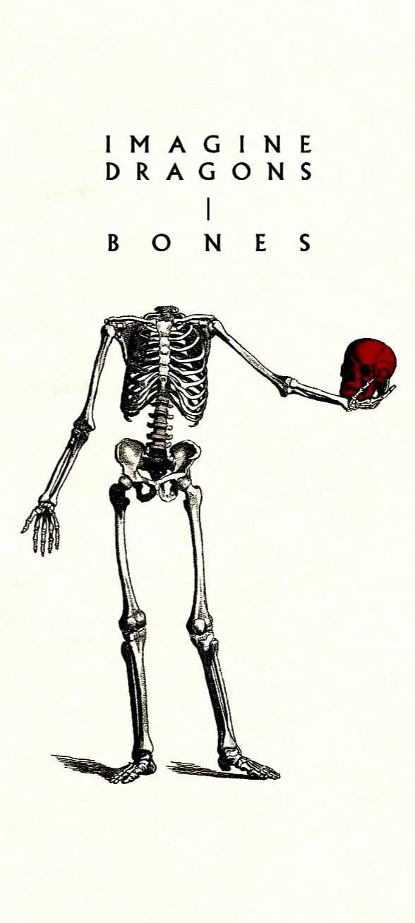 Bones thumbnail