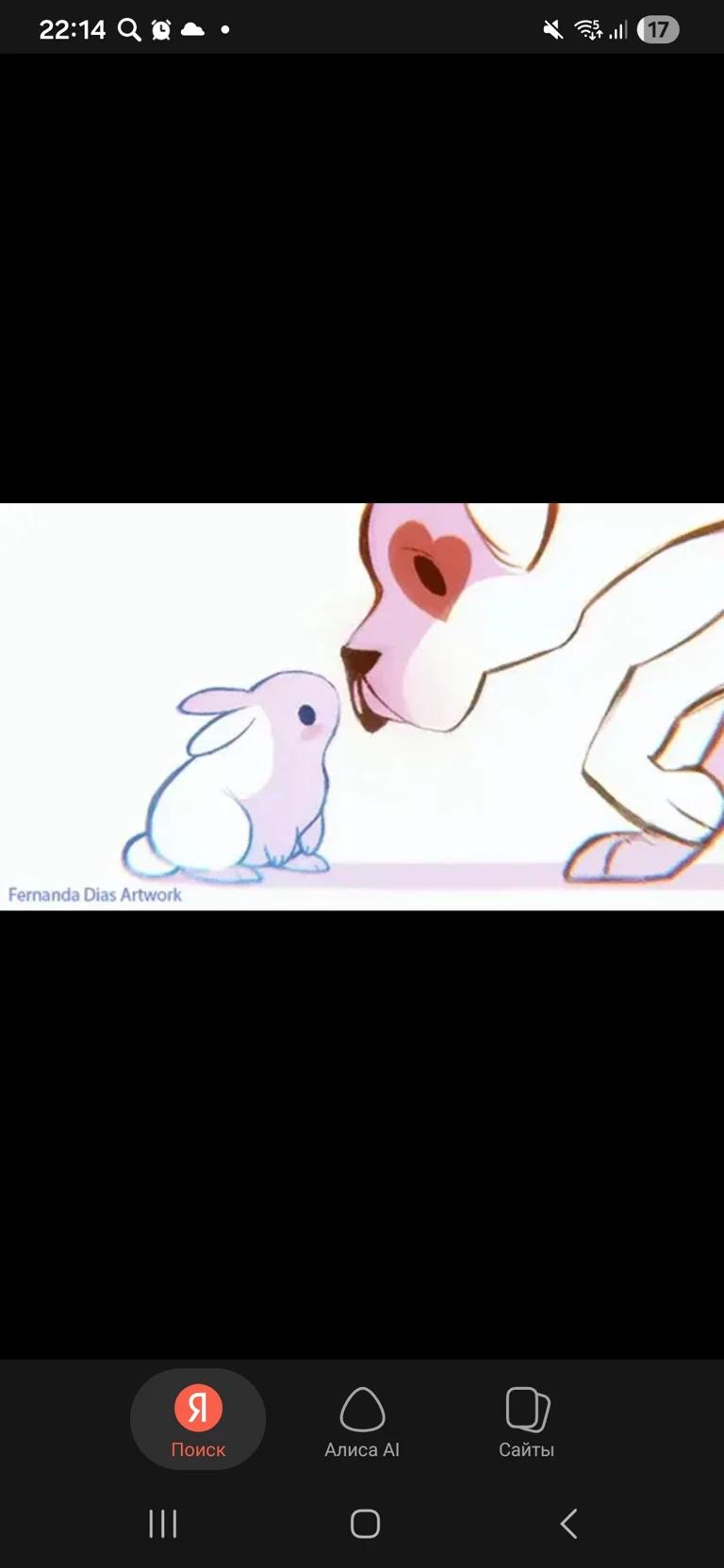 You're a rabbit, he's a dog bomb thumbnail