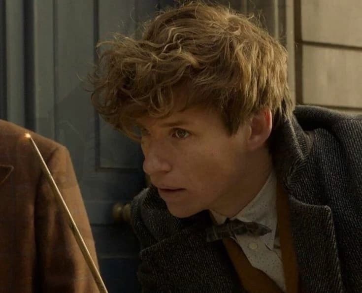 |⋆˚𝜗𝜚˚⋆|•Newt Scamander thumbnail