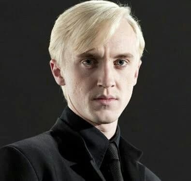 Draco Malfoy (Big brother) thumbnail