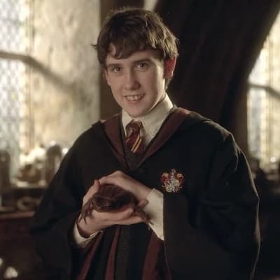 Neville Longbottom thumbnail