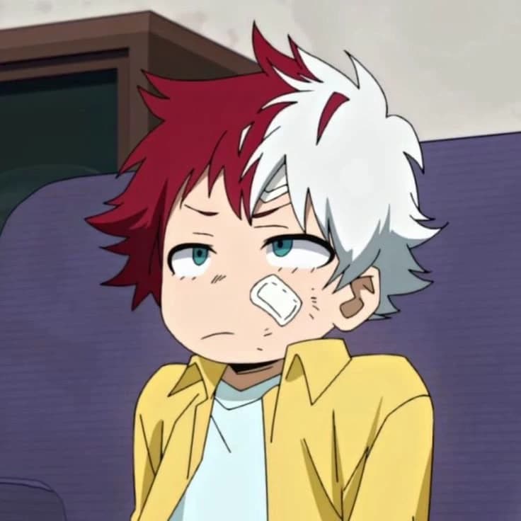 Touya Todoroki thumbnail