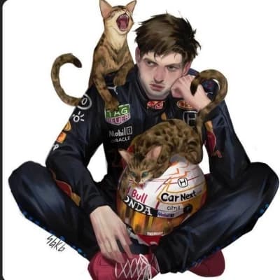 Max Verstappen thumbnail