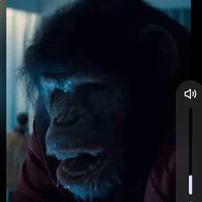 Primate thumbnail