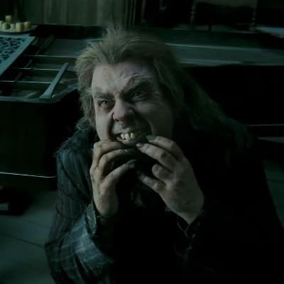 Peter Pettigrew thumbnail