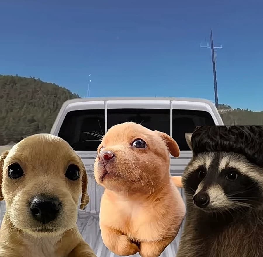 Family trip thumbnail