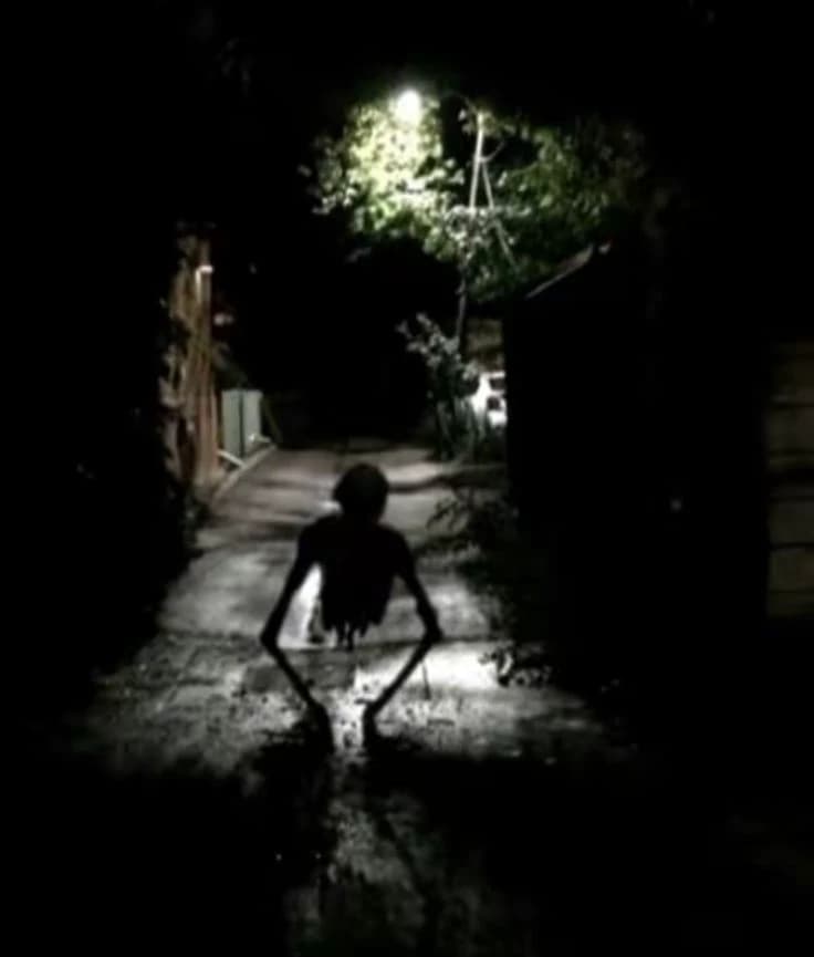"A creature in the night. thumbnail