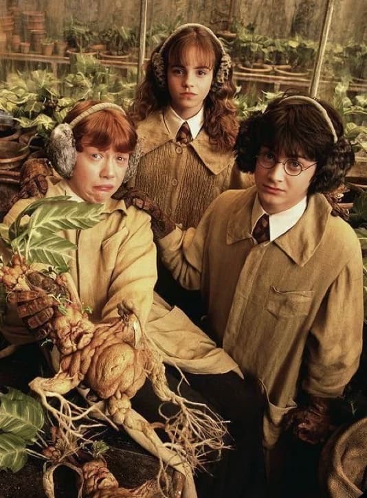 Hogwarts thumbnail