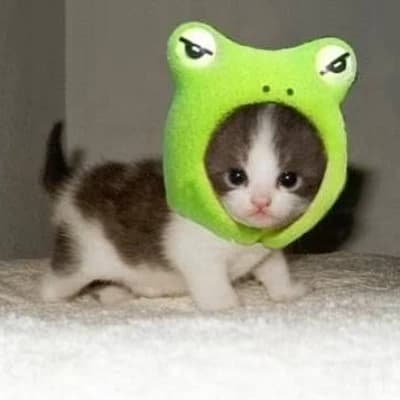 Lord Whiskers McPuff thumbnail