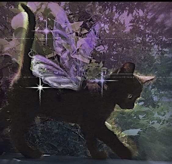 Nathe thumbnail