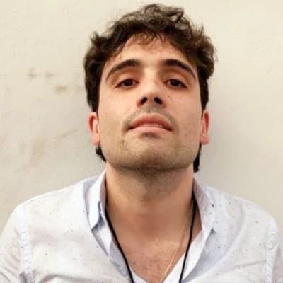 Ovidio Guzmán thumbnail